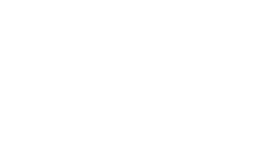 坂井ひでたか